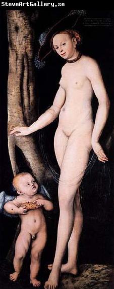 Lucas Cranach Venus and Cupid with a Honeycomb